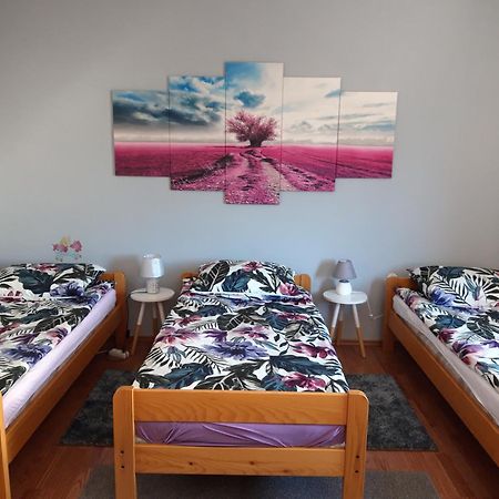 Studio Apartman Centar Оґулин Екстер'єр фото