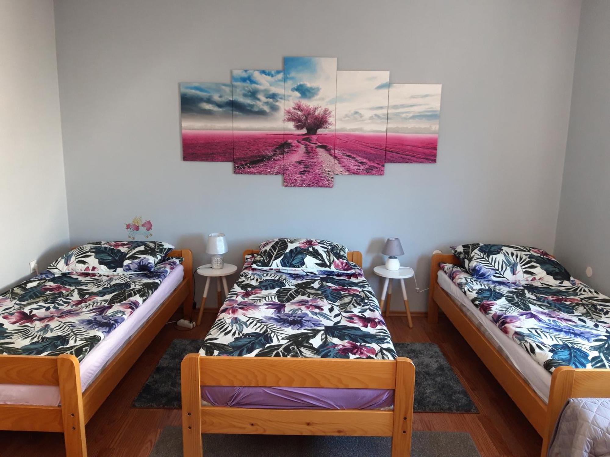 Studio Apartman Centar Оґулин Екстер'єр фото